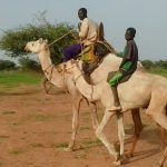 Report kick-off workshop, project The Fulani in the Sahel